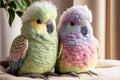 Cute colorful parrots on a background