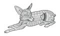 Cute coloring page dog of breed Chihuahua