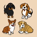 Cute coloured dog amazing vector illustration. Cute cartoon dogs vector puppy pet characters breads doggy illustration