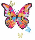 cute colourful butterfly print