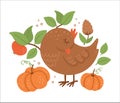 Cute composition with sleeping bird and pumpkins. Vector autumn print design isolated on white background. Fall season woodland Royalty Free Stock Photo