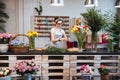 Cute concentrated female florist working in flower shop Royalty Free Stock Photo