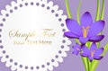 Cute Congratulation Postcard with Crocus Flower