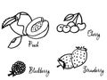 Cute contours of summer fruits on a white background