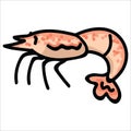 Cute cooked shrimp cartoon vector illustration motif set. Hand drawn isolated crustacean elements clipart for marine life blog,