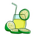 Cute and cool fresh lime drink with straw in summer - vector.