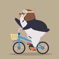 Cute Cool penguin ride a bicycle