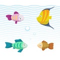 Cute coral reef fishes vector illustration icons set. Collection of funny colorful fish.