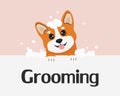 Cute corgi dog taking a bath with bubble. Illustration for pet grooming, banner. Vector illustration in cartoon style.