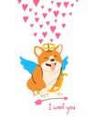 Cute corgi dog for Valentine day postcard.