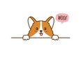 Cute corgi Puppy. Little dog. Speech bubble. Woof. Vector Royalty Free Stock Photo