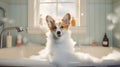 A cute corgi puppy is taking a bath in a