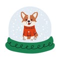 Cute Corgi in Snow Globe with Red Sweater Royalty Free Stock Photo