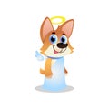 Cute corgi in white angel costume with wings and halo. Cartoon dog character with smiling muzzle. Domestic animal. Flat