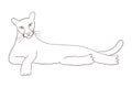 Cute cougar laying down hand drawn illustration. Royalty Free Stock Photo