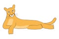 Cute cougar laying down hand drawn illustration.