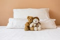 Cute couple brown and white teddy bear sitting together on the bed