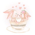 Cute Couple Bunny in a cup watercolor illustration Royalty Free Stock Photo