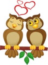 Cute couple cartoon owl in love