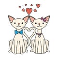 cute couple cats mascots with hearts characters Royalty Free Stock Photo