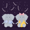 Cute couple elephants with clothes characters Royalty Free Stock Photo