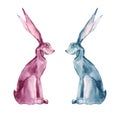 cute couple rabbits lovers watercolor painting hand drawn