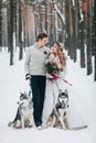 Cute couple with two siberian husky are posed on background of snowy forest. Winter wedding. Artwork Royalty Free Stock Photo