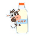 Cute cow with a bottle of milk. sticker. Cartoon flat vector illustration. Milk day. Design or sticker Royalty Free Stock Photo