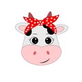 Cute cow face vector illustration Royalty Free Stock Photo