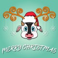 Cute Cow Head Cartoon Christmass Card. Wearing Hat and Funny Christmas.. Royalty Free Stock Photo