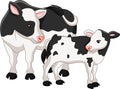 Cute cow mother with baby calf Royalty Free Stock Photo