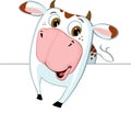 Cute Cow Peeking Out from Behind a White Surface - Vector Royalty Free Stock Photo