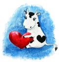Cute cow with red heart. Romantic illustration for love occasions like valentines day or wedding day. Hand painted design Royalty Free Stock Photo