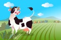 Cute cow in Rural landscape with grassland, grass and cows, eco clean area with blue sky and clouds, summer village, vector flat