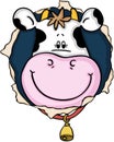 Cute cow smile on the hole Royalty Free Stock Photo