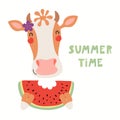 Cute cow in summer Royalty Free Stock Photo