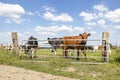 Cute cows behind an iron fence, a gate, standing in a green pasture, with at the background more cows, and a blue sky with white Royalty Free Stock Photo