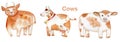 Cute cows. Farm animals. Hand drawn Watercolor elements.