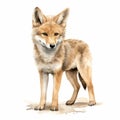 Cute Coyote Watercolor Illustration - Handmade Simple Artwork