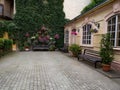 Cute cozy courtyard with flowerpots and green wall