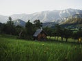 Cute cozy little rustic wood cabin hut shack alpine landscape nature green grass meadow in Upper Austria alps mountains Royalty Free Stock Photo