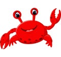 Cute crab cartoon