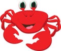 Cute crab cartoon