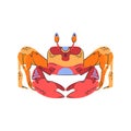 Cute Crab isolated on white background. Vector sea creature flat illustration Royalty Free Stock Photo
