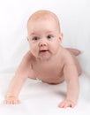 Cute crawling baby Royalty Free Stock Photo