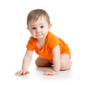 Cute crawling baby boy Royalty Free Stock Photo