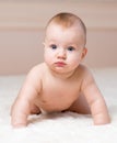 Cute crawling baby or kid boy indoors Royalty Free Stock Photo