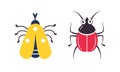 Cute Crawling Beetle with Wings and Legs as Garden Bug Vector Set