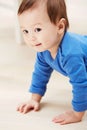 Cute, crawling and smile with baby on floor for child development, learning and youth. Young, curious and adorable with Royalty Free Stock Photo