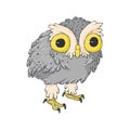 Cute crazy owl. Cartoon hand drawn clip art. Surprised night owl in kids style Royalty Free Stock Photo